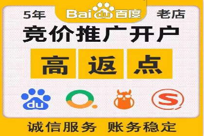百度竞价代理的客户案例：如何实现ROI最大化